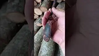 Oak wood spoon made with fire, fantastic decoration