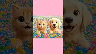 Kitten & Puppy Orbeez Pool#shorts #kidsanimation #kitten #puppy #ballpit #orbeez #adventure #foryou
