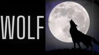 wolf howling at moon drawing / easy drawing / wolf drawing / pencil sketch