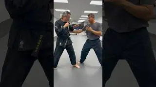 #Kenpo 