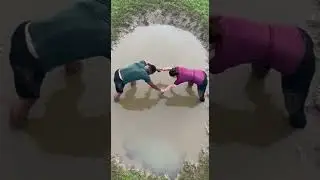 The Laugh That Causes the Fall |  Girls mud wrestling | girs fight in mud  #mudwrestling #funny