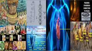 Samudra Manthan Connections to Mind & Consciousness with Deeper Sleep and Pranas