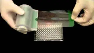 Phenix Research SealMate System