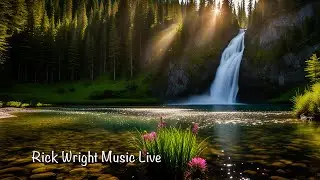 🌲🎶 Alpine Forest Chillwave Vibes #ambientvibes  #electronicmusic #calmingtunes