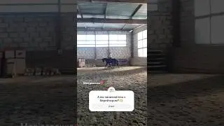 Как часто вы занимаетесь с берейтором и занимаетесь ли?🫶 #love #horse #лошади #equestrian #опрос