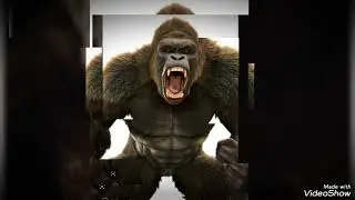 New official dancehall tk King Kong 