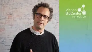 Julius Brennecke | Scientist Snapshot | IMBA, Vienna BioCenter