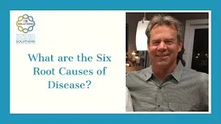 The Six Root Causes of Disease | Dr. Wade Binley