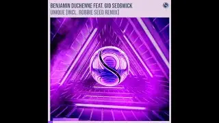 Unique  - Robbie Seed Remix (1 Hour Loop)