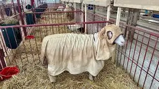 Ohio State Fair 2025