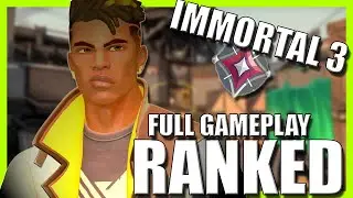 Рейтинговый керри в Immortal 3 Phoenix | Игровой процесс высшего уровня