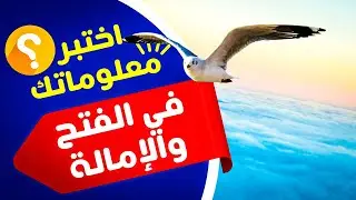 اختبر معلوماتك🤔باب الفتح والإمالة وبين اللفظين