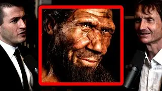Why Neanderthals went extinct | Norman Ohler and Lex Fridman
