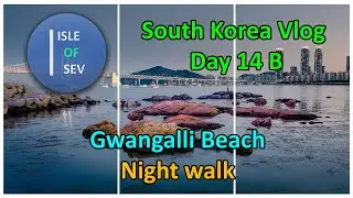 68. Busan&rsquo;s Gwangalli Beach at Night 🌉✨ Fireworks and city lights - South Korea Vlog