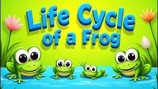 Life Cycle of a Frog 🐸 | Fun Learning for Kids | @funtooze #lifecycles #frog #kidsvideos