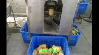 Papaya Peeling Machine | Automatic Papaya Peeler Machine