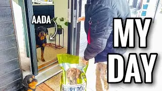 MY DAY - MAANANTAI | HENEBHM