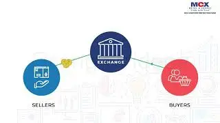 MCX IPF BASIC OF COMMODITY DERIVATIVES