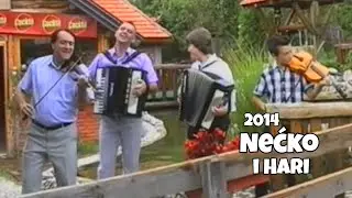 Nećko i Hari - Mnogo dajem i ne žalim | 2014