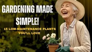 Top 15 Low-Maintenance PLANTS for Senior Gardens