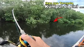 Tes Rod Casting Daido Predator ..!!! Casting Muara Sungai Hitam ....