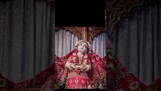 শ্রী শ্রী অষ্টসখীর দর্শন Sri Sri Ashtasakhi Darshan 🪷| Iskcon Mayapur | 14 January 2026 |#radharani