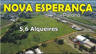 SÍTIO à VENDA em NOVA ESPERANÇA no Paraná 🐄
