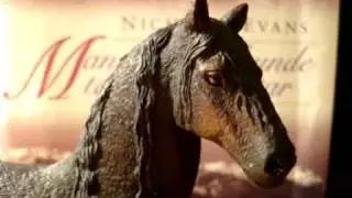 New 2010 Schleich horses at Applebaystable