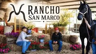 Rancho San Marco 