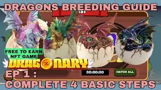 4 Complete Steps of Dragon Breeding in Dragonary - Free to Earn NFT Game