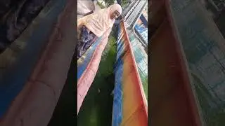 Fantasy kingdom ride 