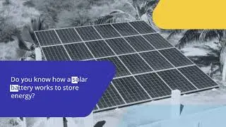 How Solar Batteries Work for Energy Storage - Shyne Solar #ShyneSolar #SolarEnergy #SolarPanels