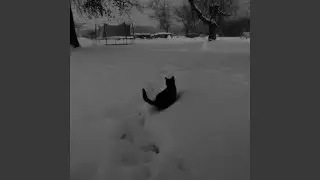 Я люблю тебя