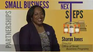 Overview of small business initiatives at DISA