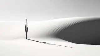 Nowind