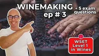 Winemaking 🍇🍷 WSET Level 1 in Wines – Episode #3
