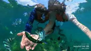 Family Vlog: Malaysia Tioman Island Snorkeling shooting using Insta 360 One RS June 22
