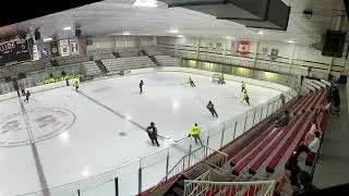 #16 Yellow Rylie - Quick up