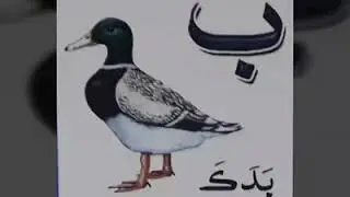 SINDHI Alphabets / To learn sindhi listen and watch carefully