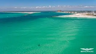 Destin Harbor Dolphins