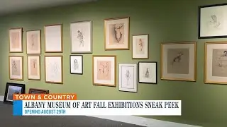 Albany Museum of Arts Fall Exhibitions Sneak Peek