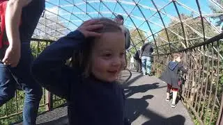 Queens Zoo October 28 2017
