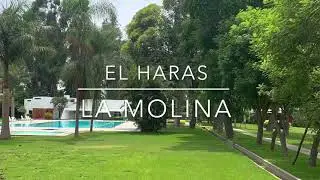 Propiedades en venta o alquiler en El Haras de La Molina
