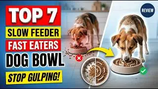 Top 7 Best Dog Slow Feeder Bowl For Fast Eaters Review (Hidden Gem) Vet Recommended 2026