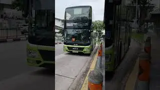 Singapore only 12.8m bus hong kong man a95