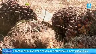 Proses pensijilan MSPO sentiasa berkembang, bertambah baik
