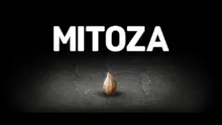MITOZA - ปลดล็อคทุกฉากจบ สยบทุกความสงสัย...!
