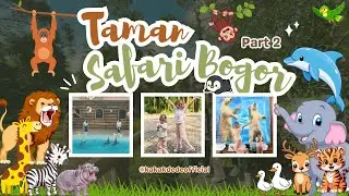🐬DOLPHINE NYA PINTER BANGET😱 | Part 2