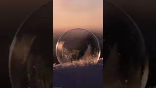 Life in Bubble #shorts #travel #viral #usa #life