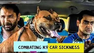 ADW Digital Dog Trainer - Combating K9 Car Sickness